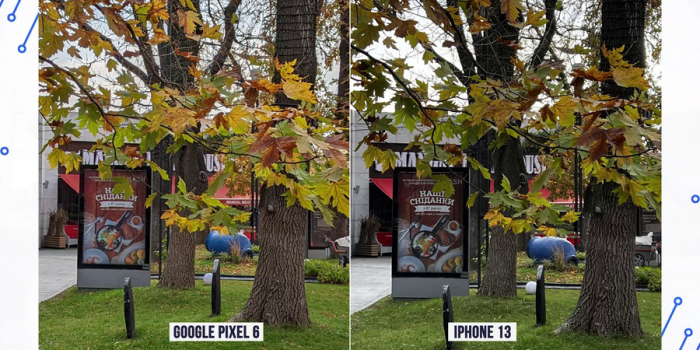 Камера Pixel 6 vs iPhone 13