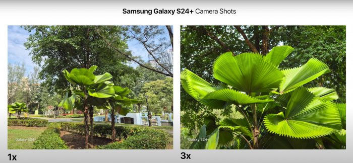 Як фотографує Samsung Galaxy S24 (Plus)