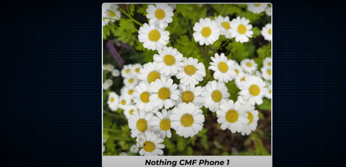 Як фотографує основна камера Nothing CMF Phone 1