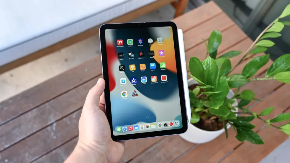 Apple судитимуть за желейний екран iPad mini 6 – фото 1