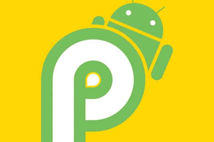 Как назовут Android 9.0? «Pineapple» — вот еще один вариант – фото 1
