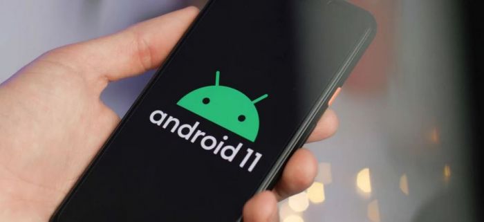 Google почав розсилку оновлення Android 11 Beta для вирішення проблеми з дисплеєм на смартфонах Pixel – фото 2