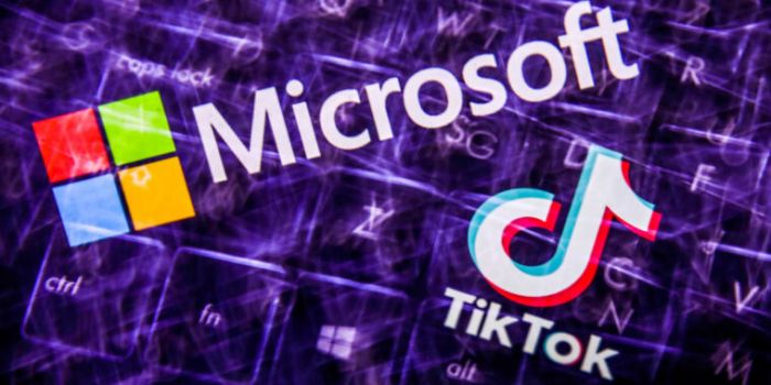 Теперь Microsoft хочет купить весь TikTok. Стоимость сделки оценивают в $50 миллиардов – фото 1