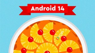 Android 14 - графік випуску та як завантажити Developer Preview