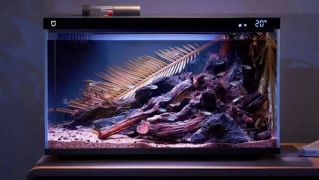 Умный аквариум Xiaomi Mijia: Когда ребенок очень хочет рыбок, а ты не хочешь за ними ухаживать