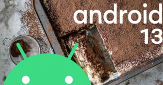 Google сделала первый шаг к выходу Android 13. Встречайте, Android 13 Developer Preview 1