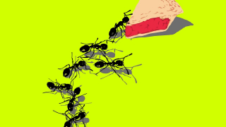 Роботы не смогут захватить мир, люди оказались хитрее: Ant Group делает большие шаги в повышении безопасности