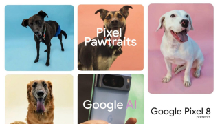 Google презентувала програму "Pawtraits Kit", яка покликана допомогти тваринам знайти домівку та надає безкоштовні Pixel 8 Pro притулкам